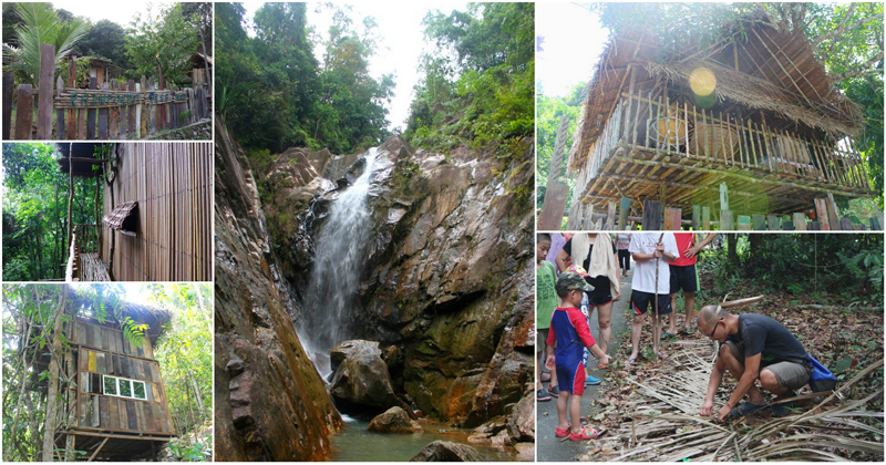 回归大自然！Rainforest Tree House