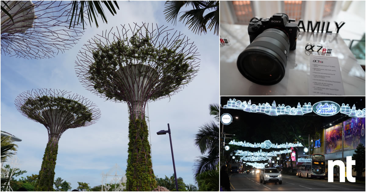 新加坡摄影之旅，测试Sony Alpha 7R III（多图）