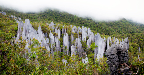 10-mulu