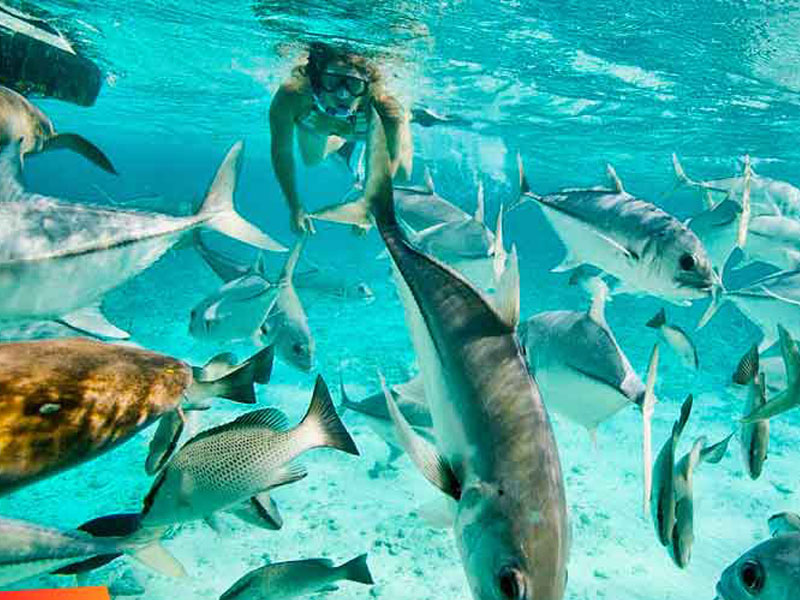 Ambergris Caye, Belize02