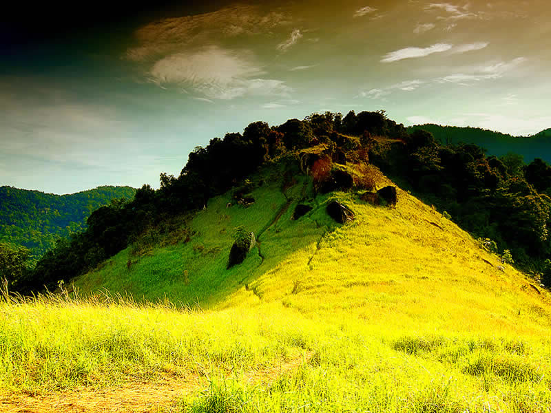 broga