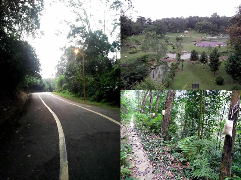 bukitkiara