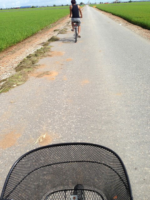 Bicycle