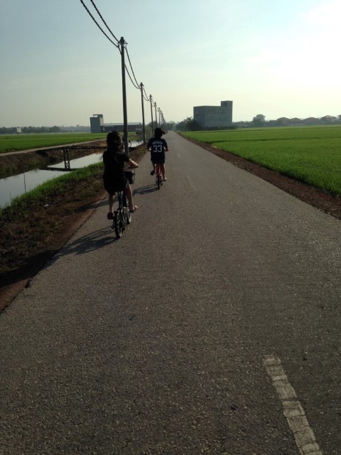 Bicycle