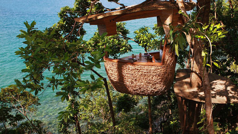 Treepod Dinning