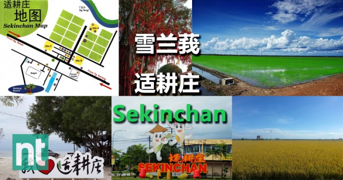 雪兰莪适耕庄(Sekinchan)之一日游好去处