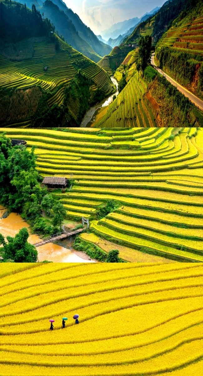 Mu Cang Chai in Yen Bai, Vietnam