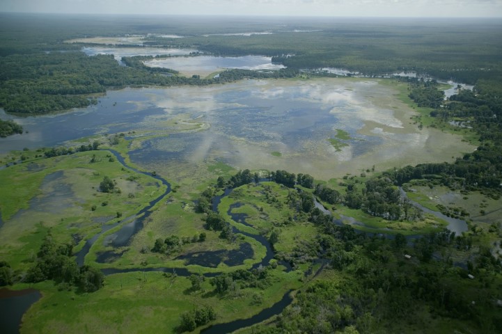 New Guinea
