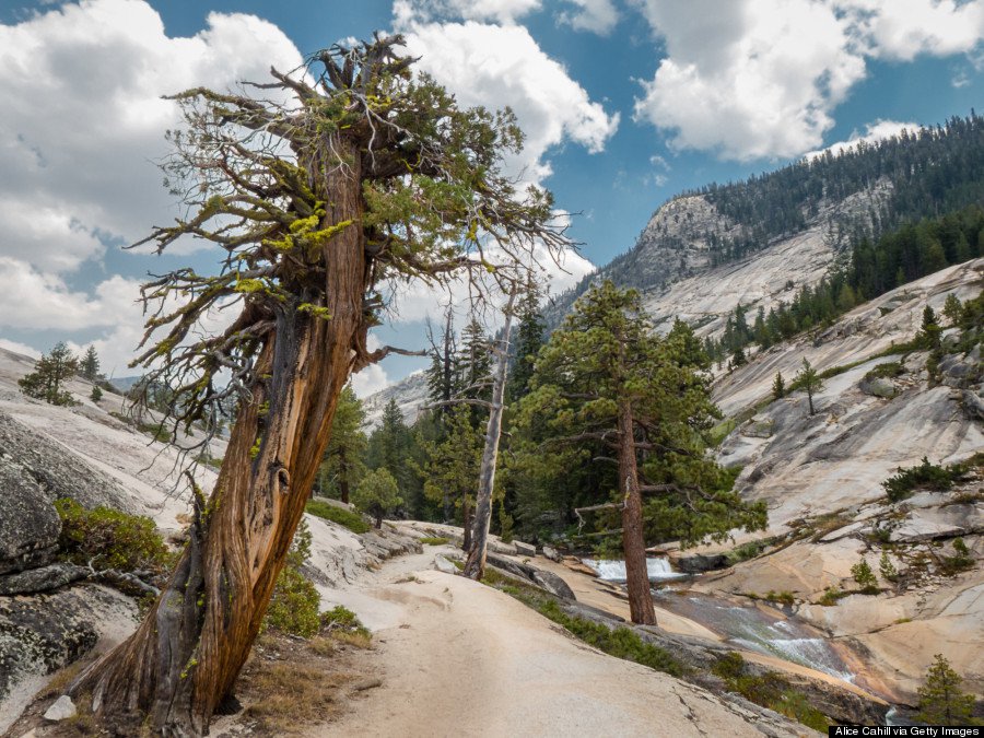 High Sierra Trail, California
