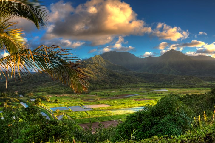 Hanalei, Hawaii