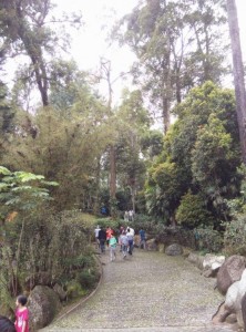 IMG_20150101_103619