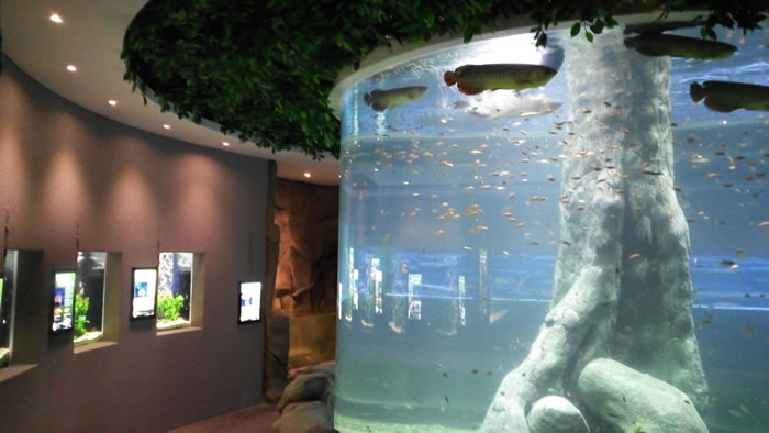 the-shore-oceanarium-1