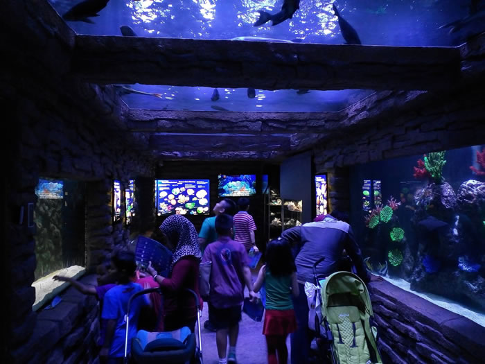 the-shore-oceanarium-2
