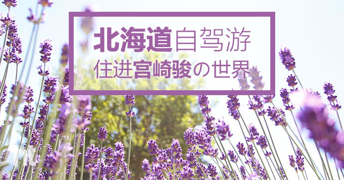 北海道自驾游—住进宫崎骏の世界