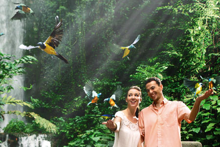 Jurong Bird Park