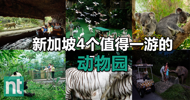 新加坡4个值得一游的动物园