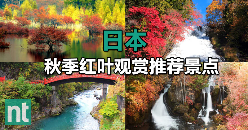 日本秋季红叶观赏推荐景点