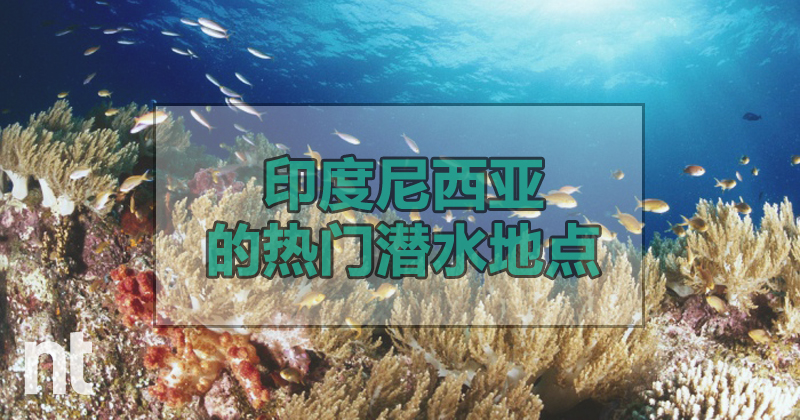 印度尼西亚(Indonesia)的热门潜水地点