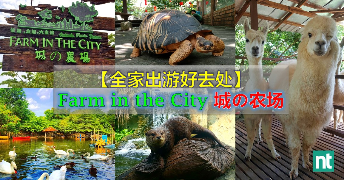 全家出游好去处：Farm in the City 城の农场