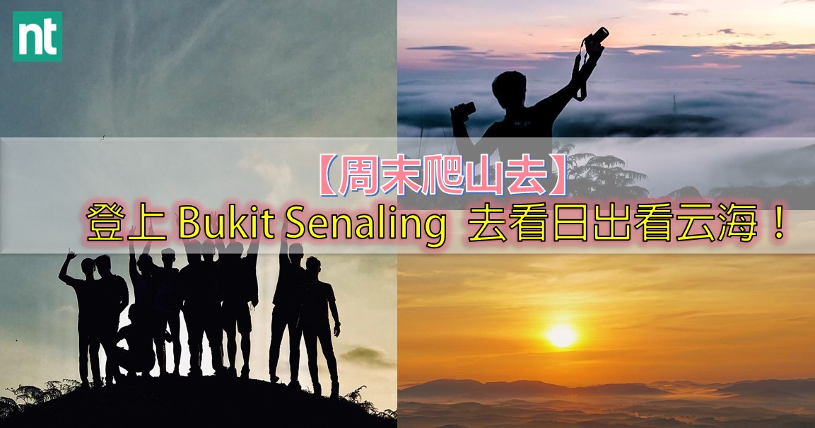 【周末爬山去】登上 Bukit Senaling   去看日出看云海！