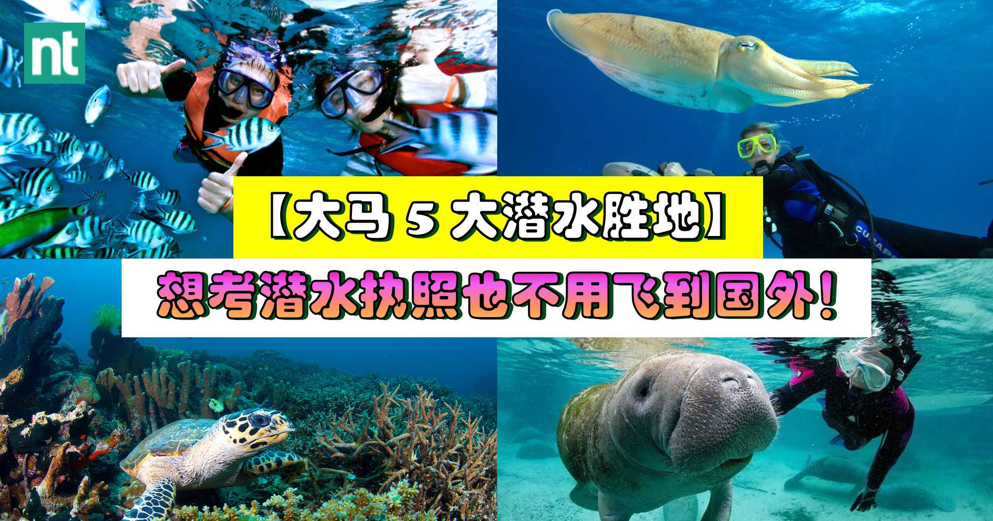 【大马 5 大潜水胜地】想考潜水执照也不用大老远飞到国外！