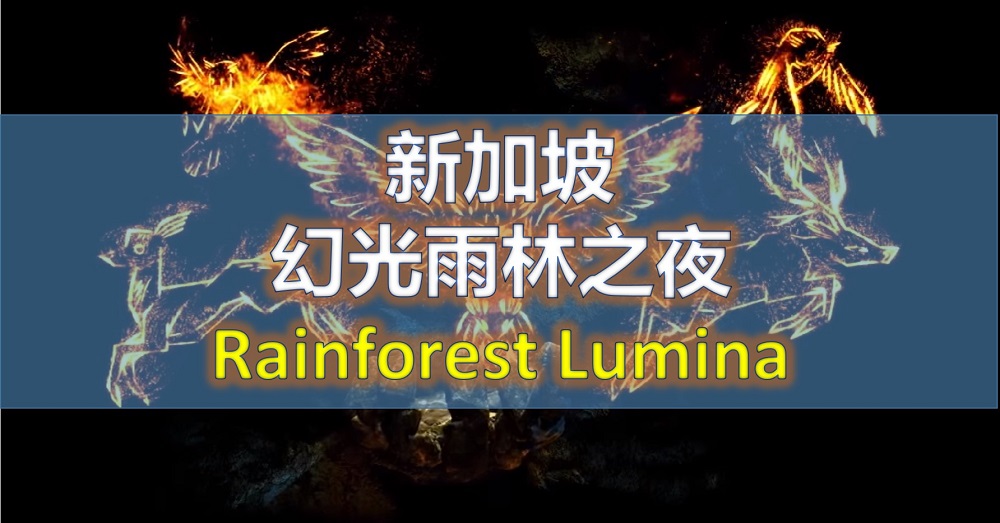 新加坡-梦幻动物园（幻光雨林之夜—Rainforest Lumina）