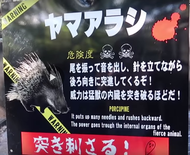 刺猬