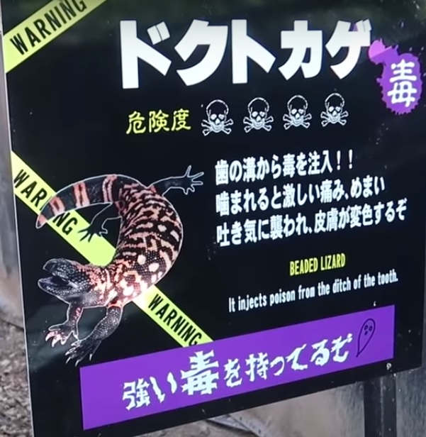 剧毒蜥蜴