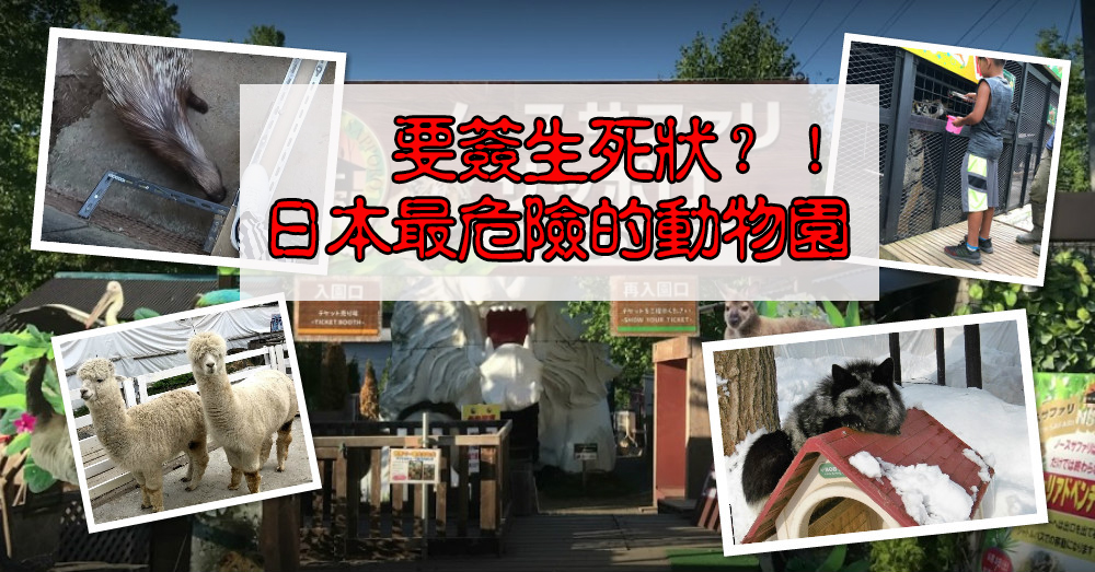 签生死状才能进去？日本最“危险”的动物园！
