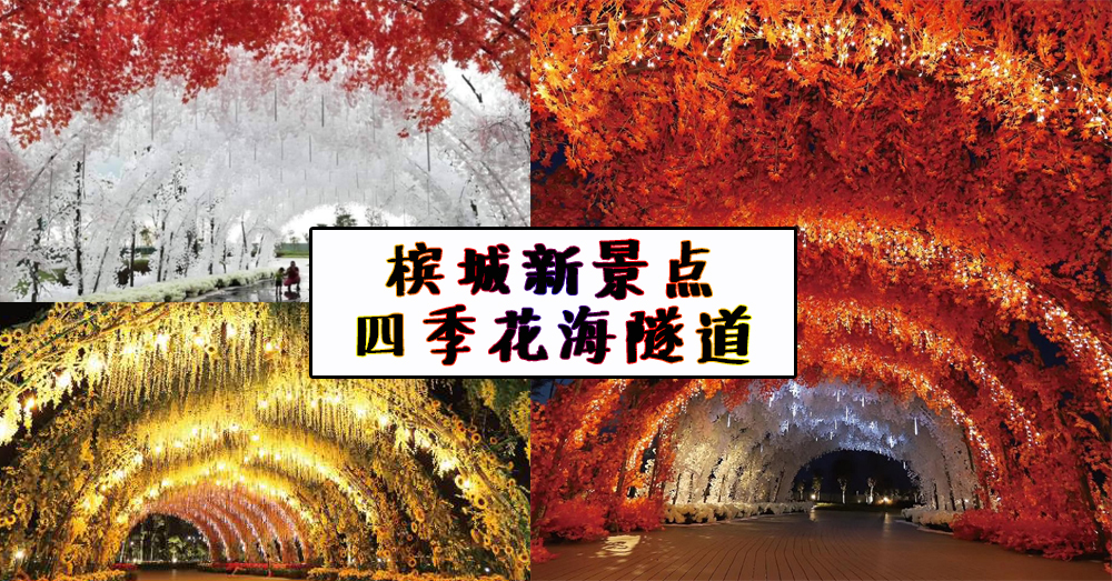 【槟城新景点】四季拱型花海隧道?—— Aspen Vision City Central Island Park