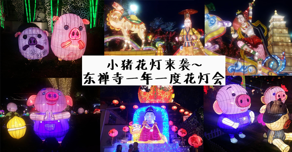 【花灯之旅】小猪猪花灯来袭！东禅寺新年花灯展览~