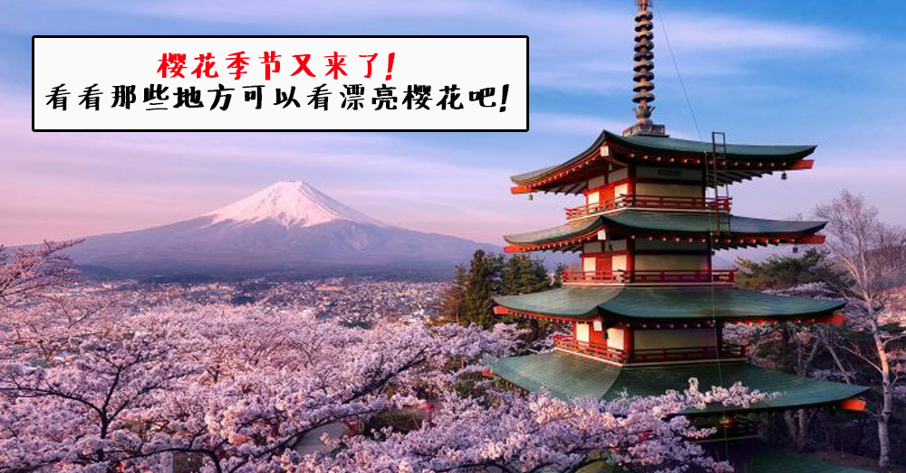 樱花绽放迎春，Agoda 精心挑选6个最佳的赏花地点