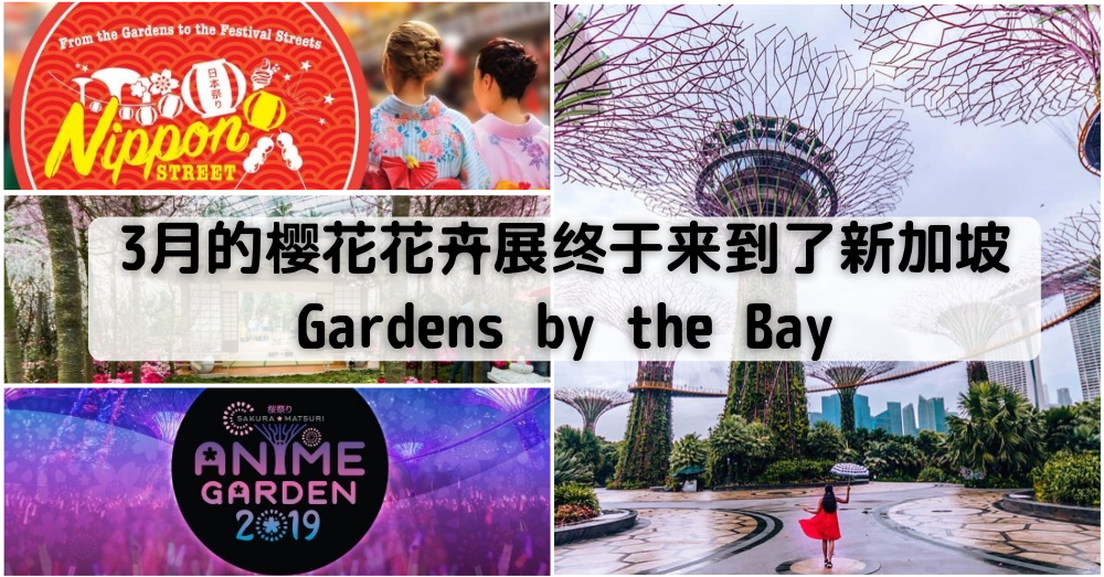 【新加坡也有樱花？】Gardens by the Bay于3月份迎来樱花花卉展