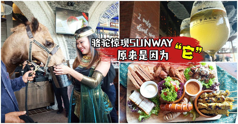 《The BAR N Wine Bar》SUNWAY PYRAMID正式开张啦！喝美酒吃美食的好去处！