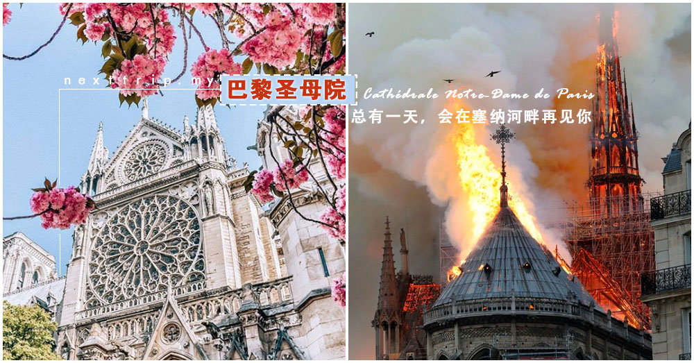巴黎圣母院：总有一天，会在塞纳河畔再见你