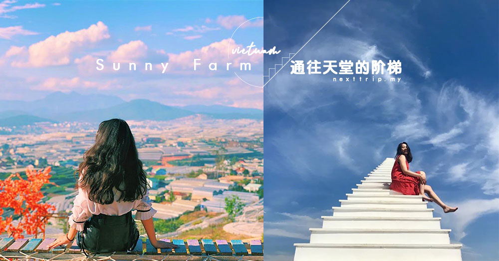 "通往天堂的阶梯": 越南超火的小众打卡地点，随手一拍美到爆咋！