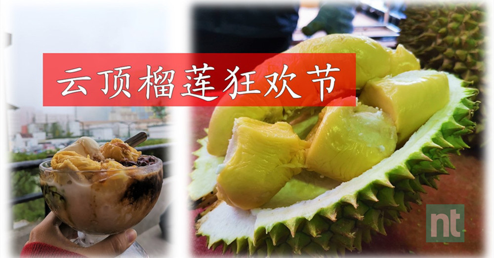 果王驾到，万岁万岁万万岁!马来西亚最大且唯一在高山上的榴梿狂欢季来喽~