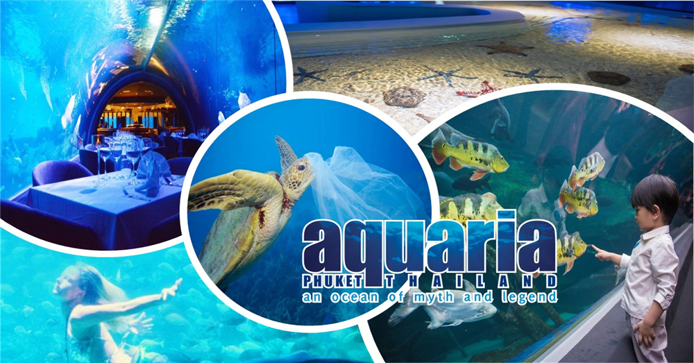 泰国最大的水族馆Aquaria已在Phuket正式营业！有美人鱼表演！还可以在水底餐厅用餐！
