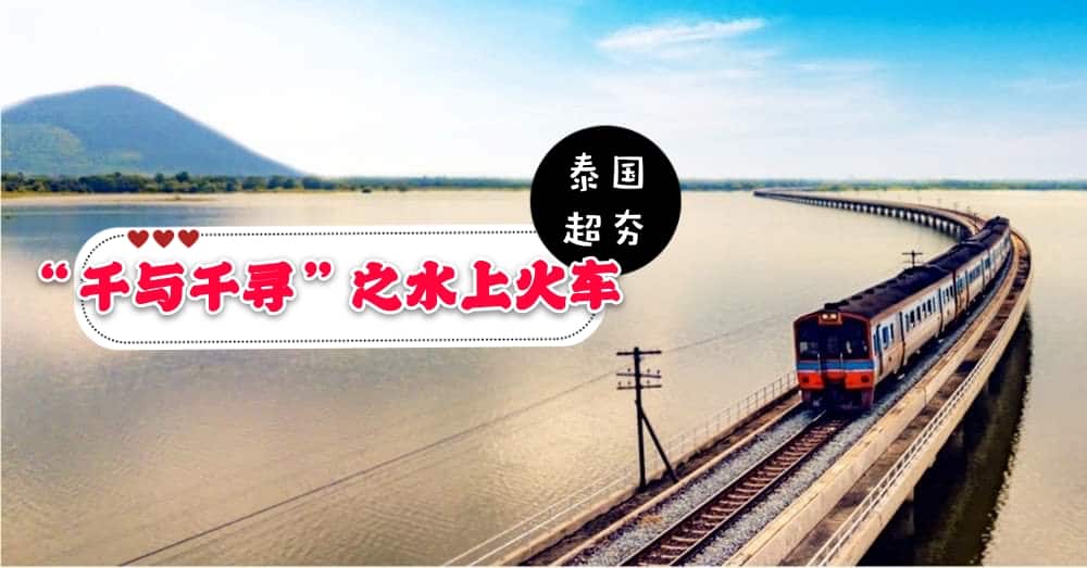 季节限定‼️超夯的泰国版千与千寻之水上火车已开放售票，快去体验吧~