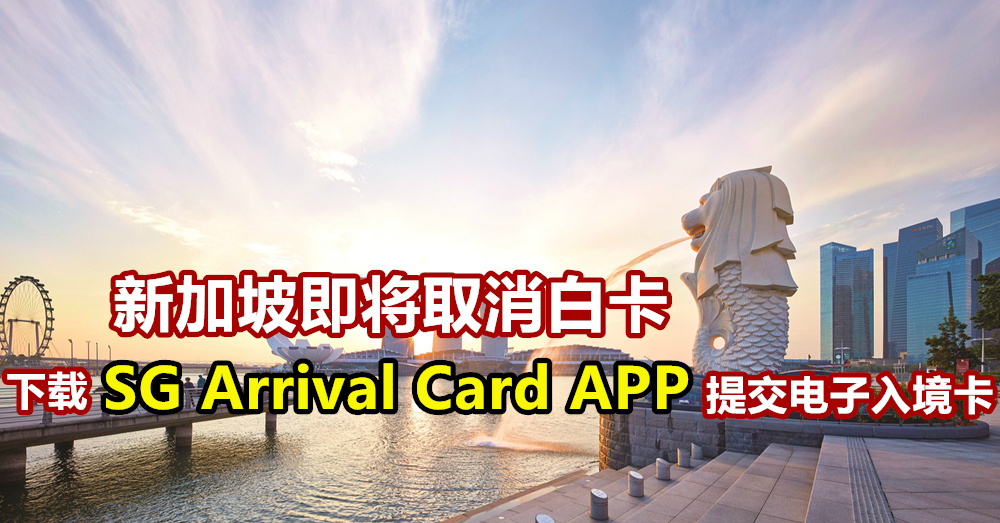 新加坡入境取消白卡！可下载 SG Arrival Card APP 提交电子入境卡【附上教程】