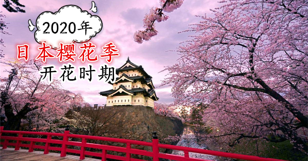 2020年 日本樱花开花时期 预测以及日本赏樱景点大推荐！