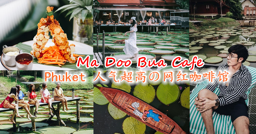 Phuket 人气超高の网红咖啡馆 Ma Doo Bua Cafe ，让你站在荷叶上拍大片！
