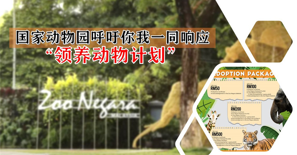 [ 全球大流行 ] 国家动物园呼吁热心民众一同响应“ 领养动物计划 ”，以助维持动物园开销！