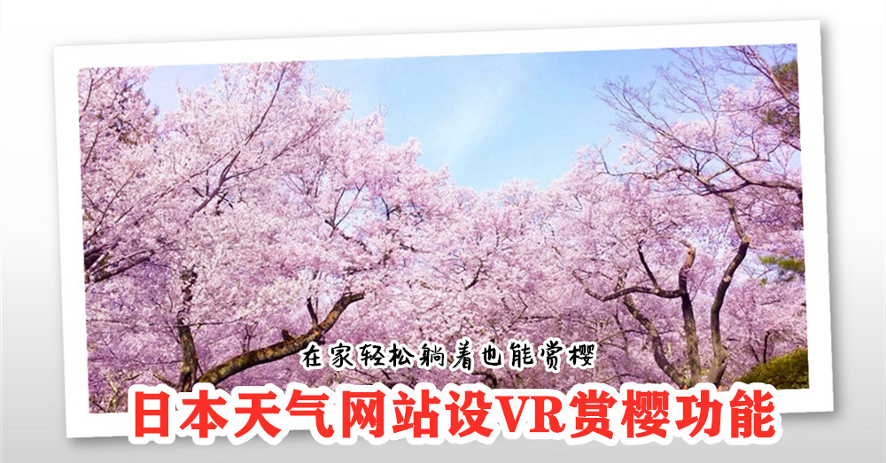 错过了日本樱花季？没关系！日本天气网站 Weathernews 设 VR赏樱 功能，在家躺着轻松3赏樱！