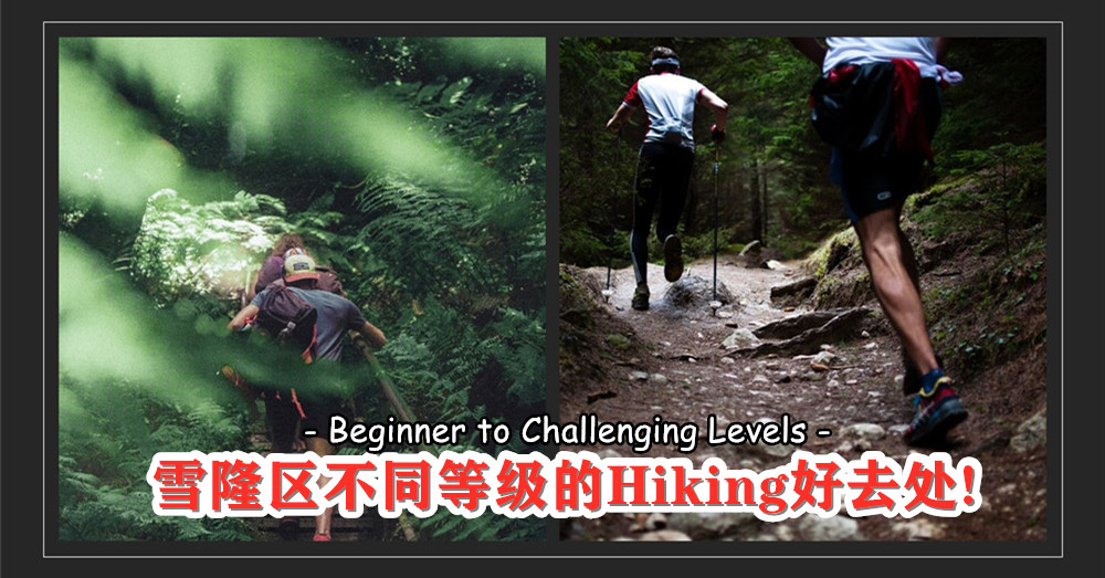 [ 玩在大马 ] Beginner to Challenging Levels ·  雪隆区不同等级的Hiking好去处 ！