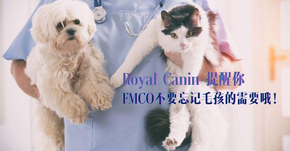 FMCO期间照顾你的宠物需要！Royal Canin(皇家宠物)鼓励宠物主人提前为毛孩们提前计划！