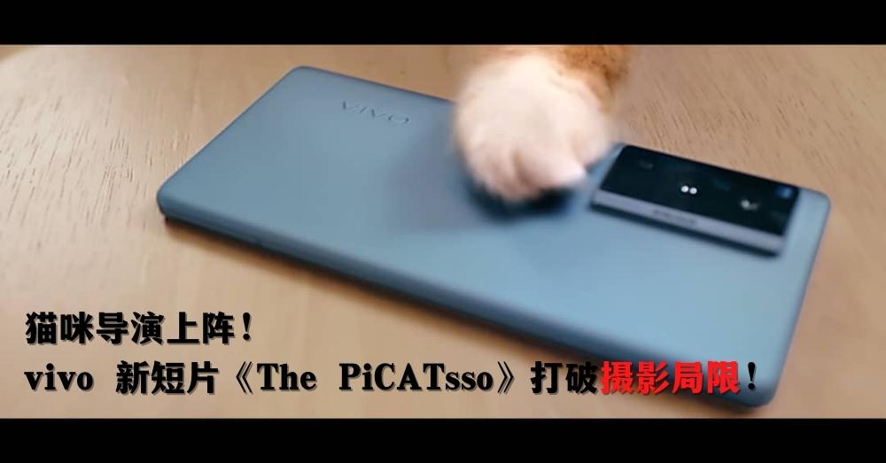 猫咪当导演？vivo X70系列在手，有什么拍不到的？