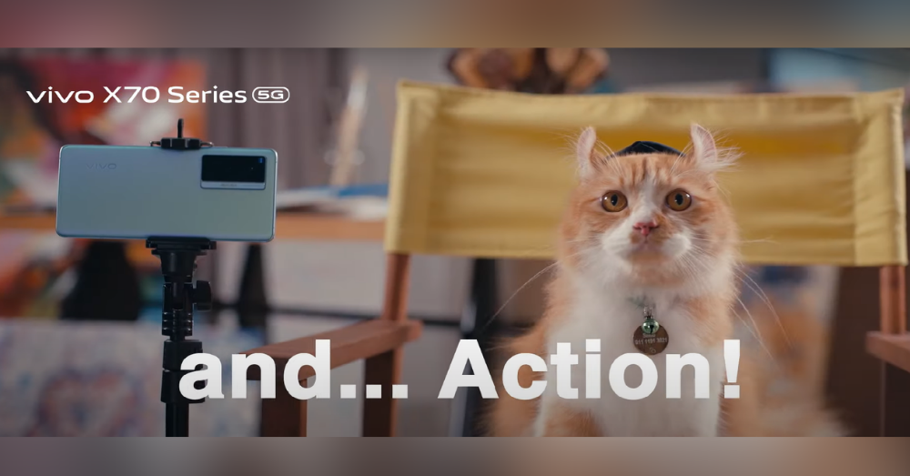 由网红猫Sumo The Cat亲自“导演”，vivo X70 系列最新微电影来啦！