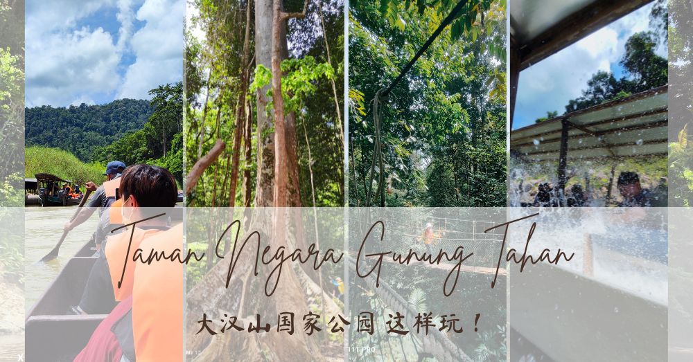 沉静在大自然之美！国家公园Taman Negara可以这样玩！